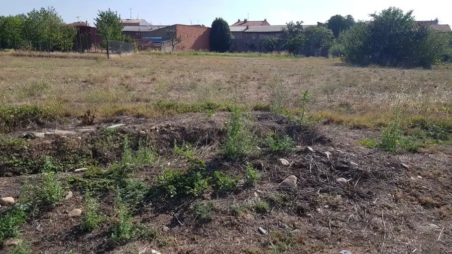 Terreni e lotti in vendita a Calle Carro Vega, imagen 2