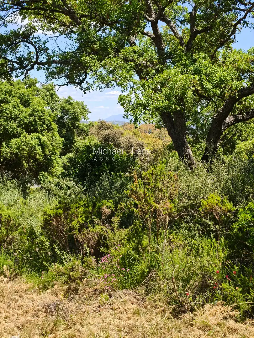 Terreni e lotti in vendita a Sotogrande Alto, imagen 6