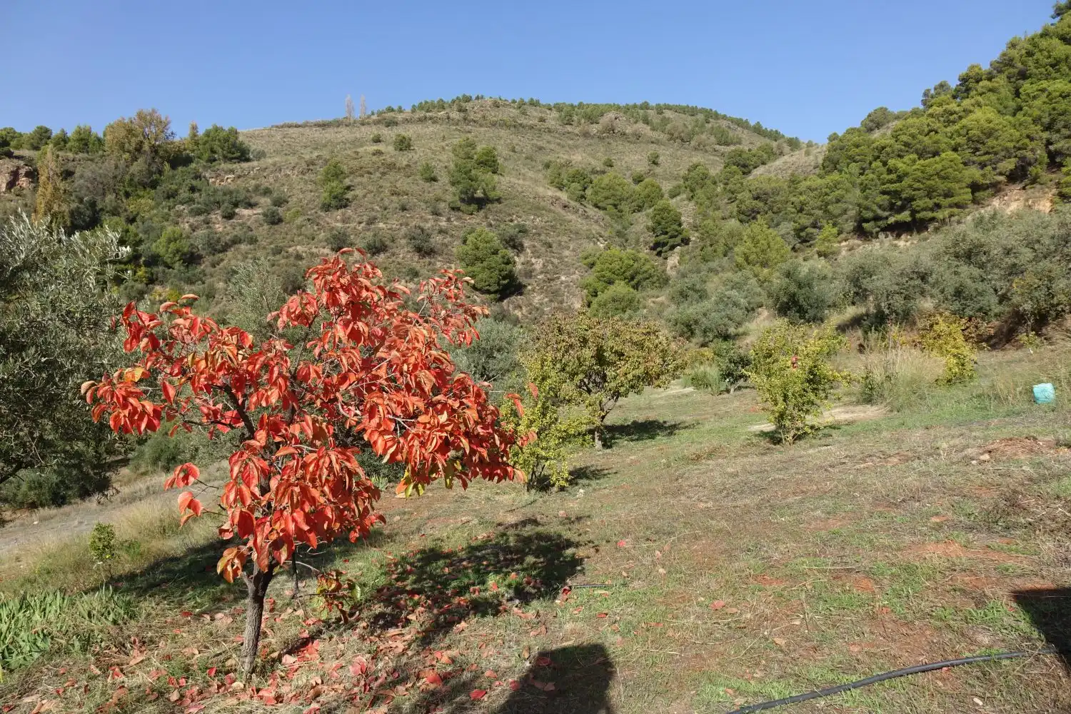 Xalet en venda a Órgiva, imagen 15