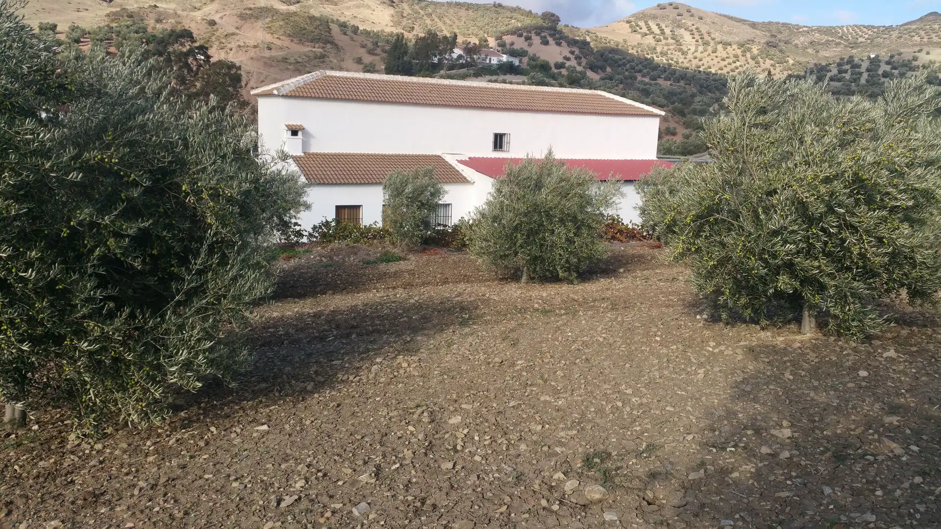 Jardí de Finca rústica en venda en Antequera amb Traster