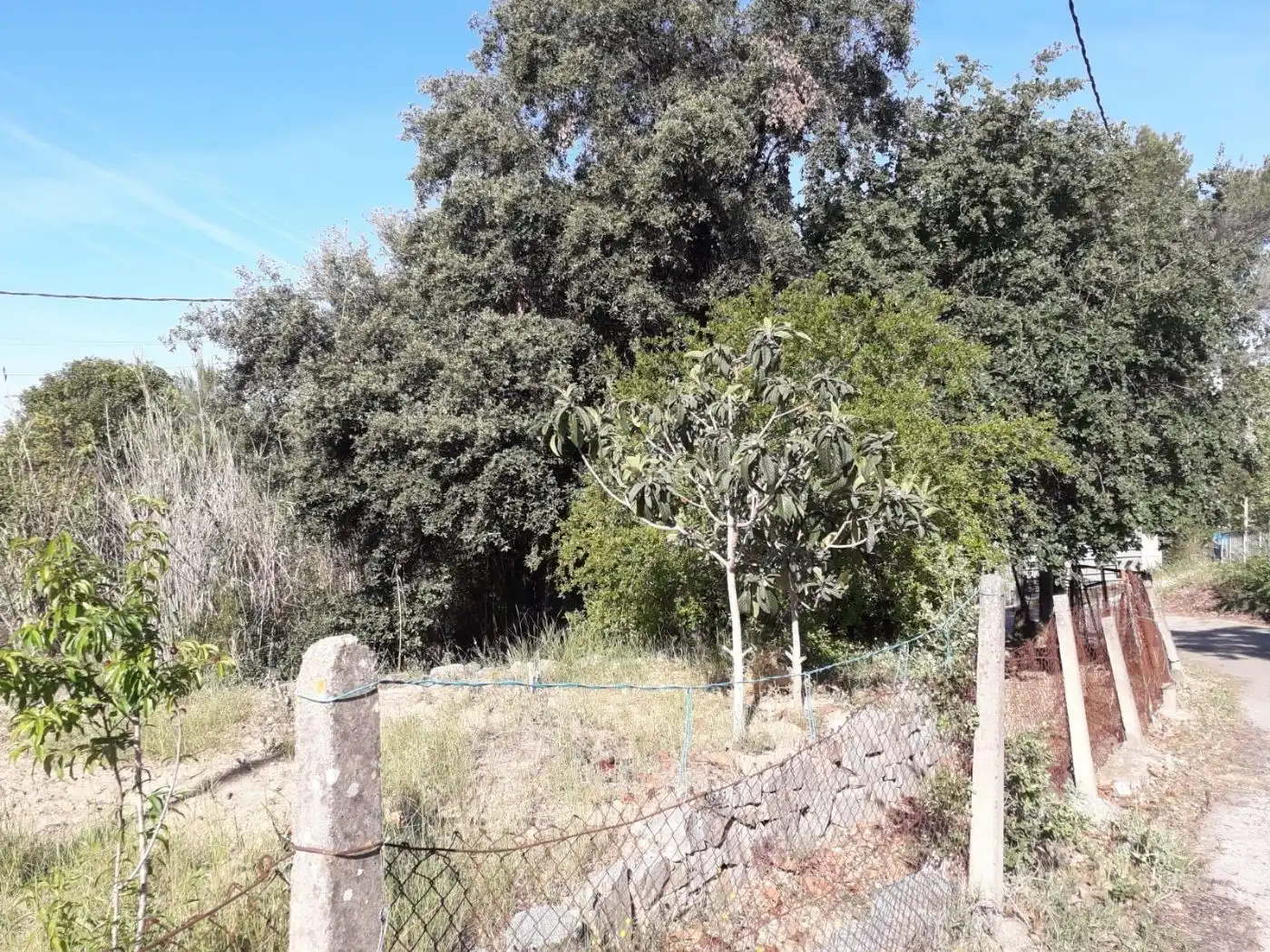 Terreno rustico in vendita a Carrer d'Altimira 22, imagen 4