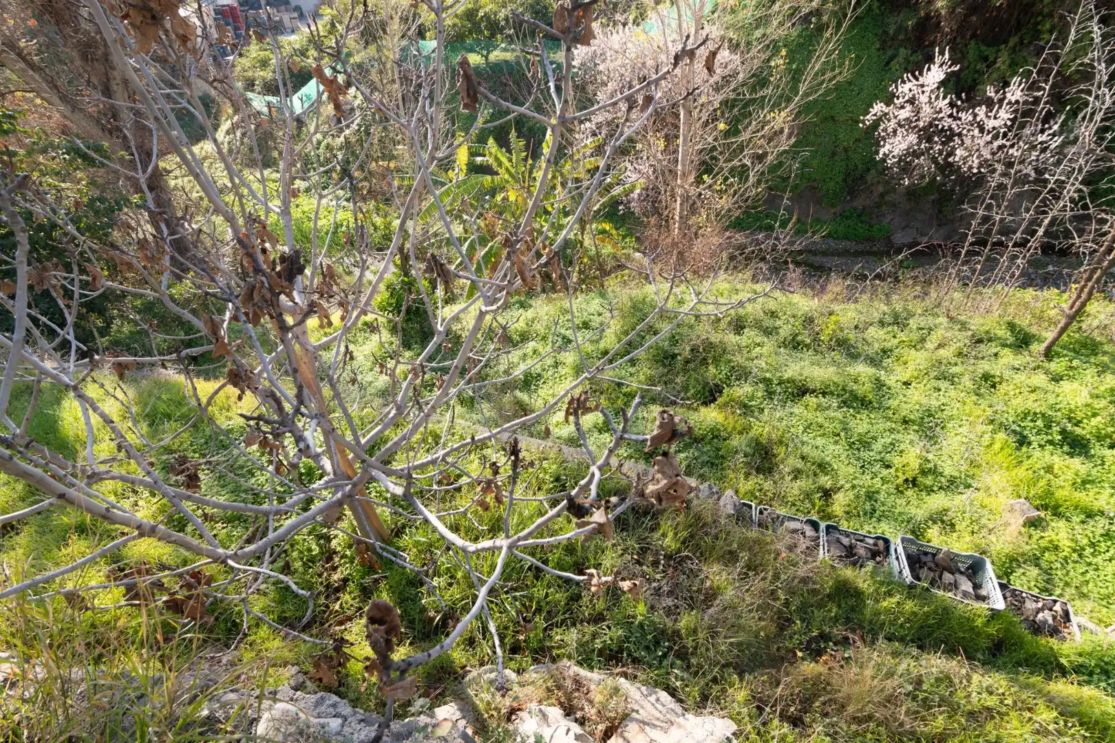Casa o xalet en venda en Molvízar amb Jardí privat, Terrassa i Traster