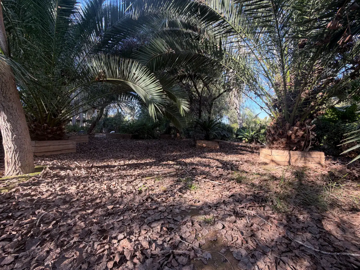 Lands and plots for sale in Abanilla, imagen 15