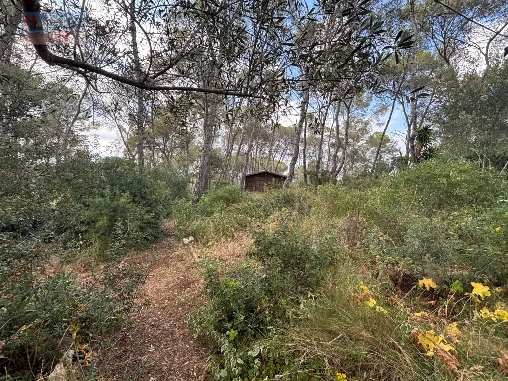 Casa o xalet en venda en La Bisbal del Penedès amb Moblat i Forn