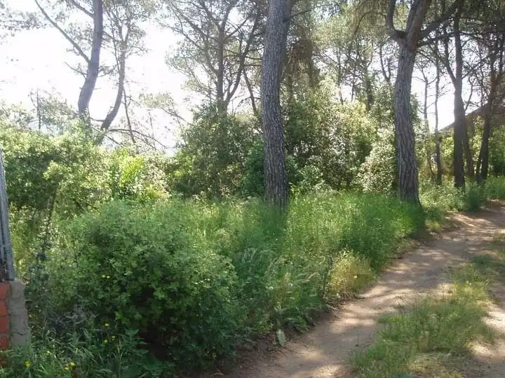 Residential land for sale in Carrer Serra de Sant Feliu 82, imagen 5