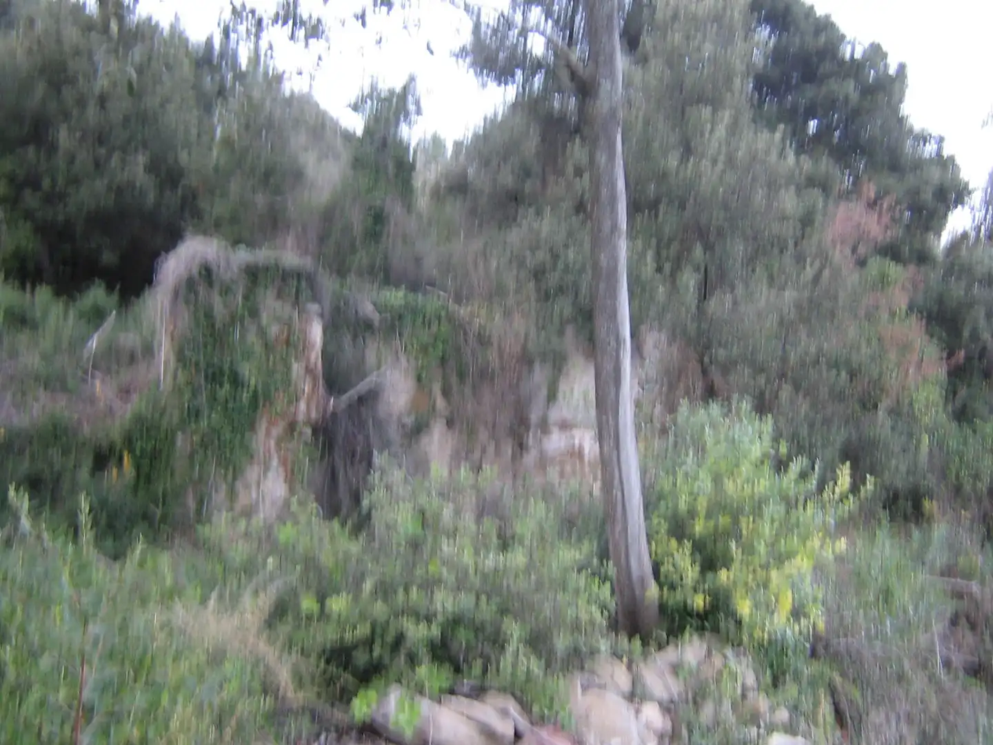 Rural land for sale in Montagut i Oix, imagen 13