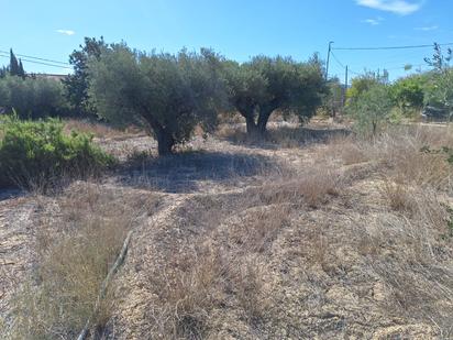 Terreny en venda en Alicante / Alacant