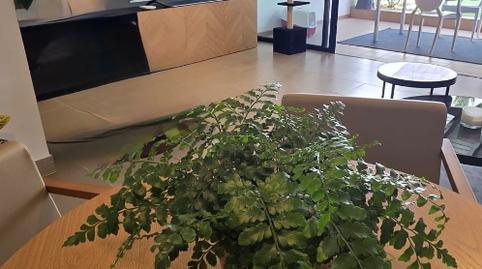 Photo 2 of House or chalet to rent in Calle Hermano Pedro, 30, Aldea Blanca - Las Zocas, San Miguel de Abona