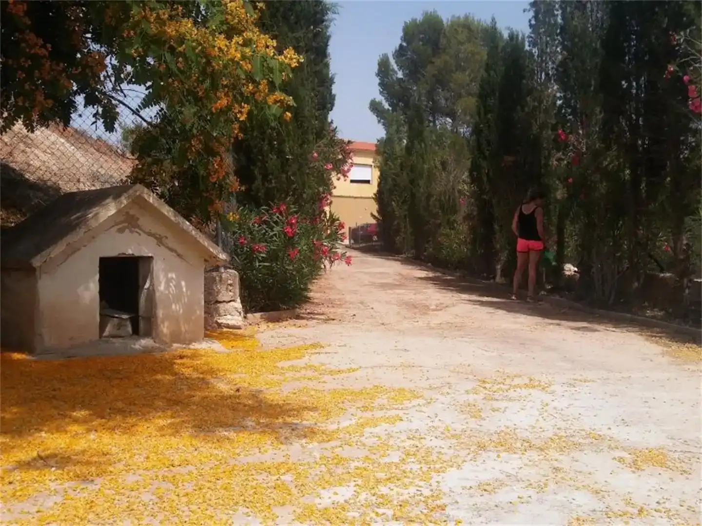 Vista exterior de Pis en venda en Vallada amb Jardí privat, Piscina i Moblat