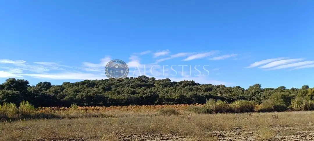 Terreno rústico en venta en Villamanta, imagen 2