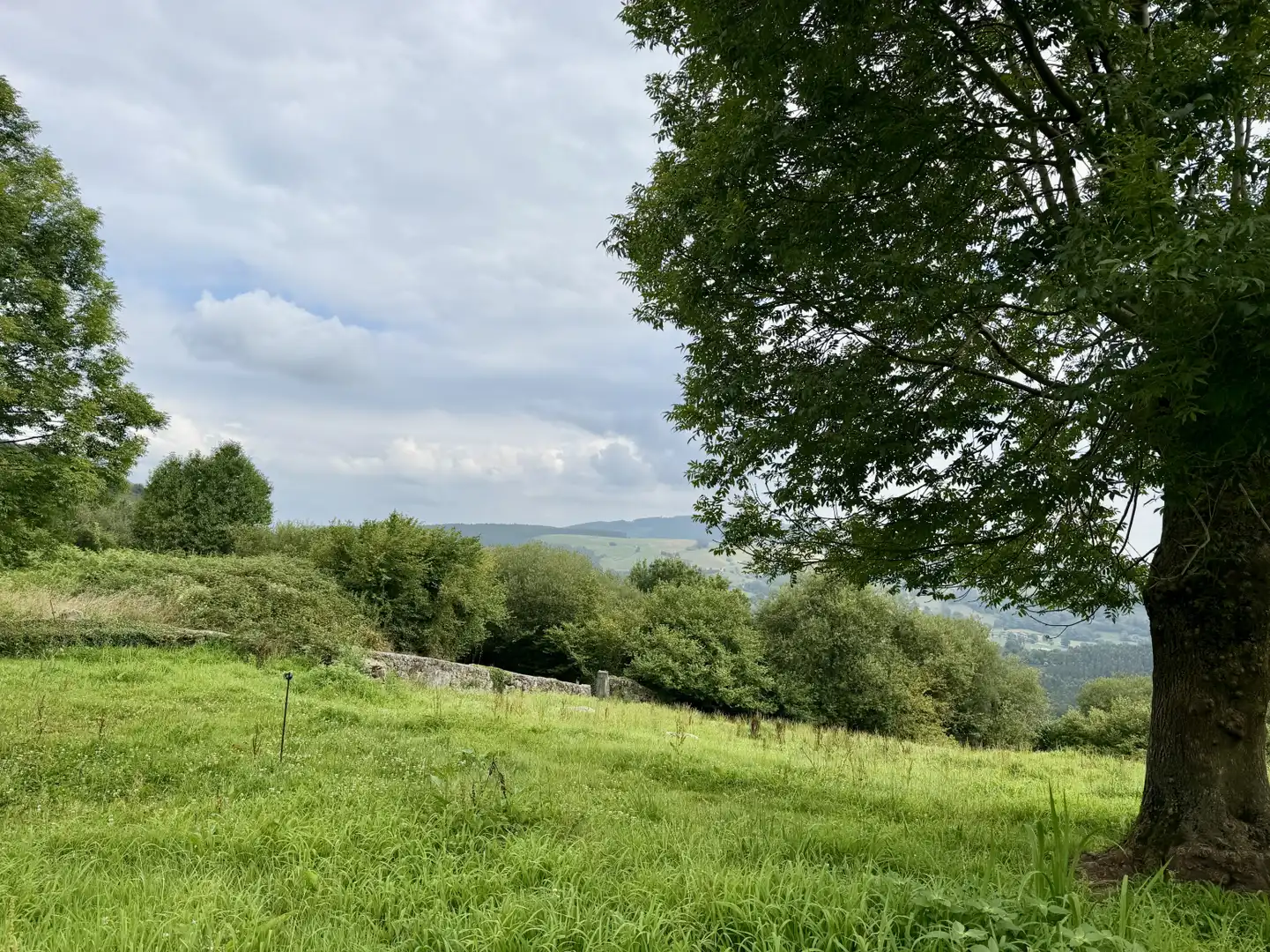 Casa en venta en Hornedo - HORNEDO, imagen 19