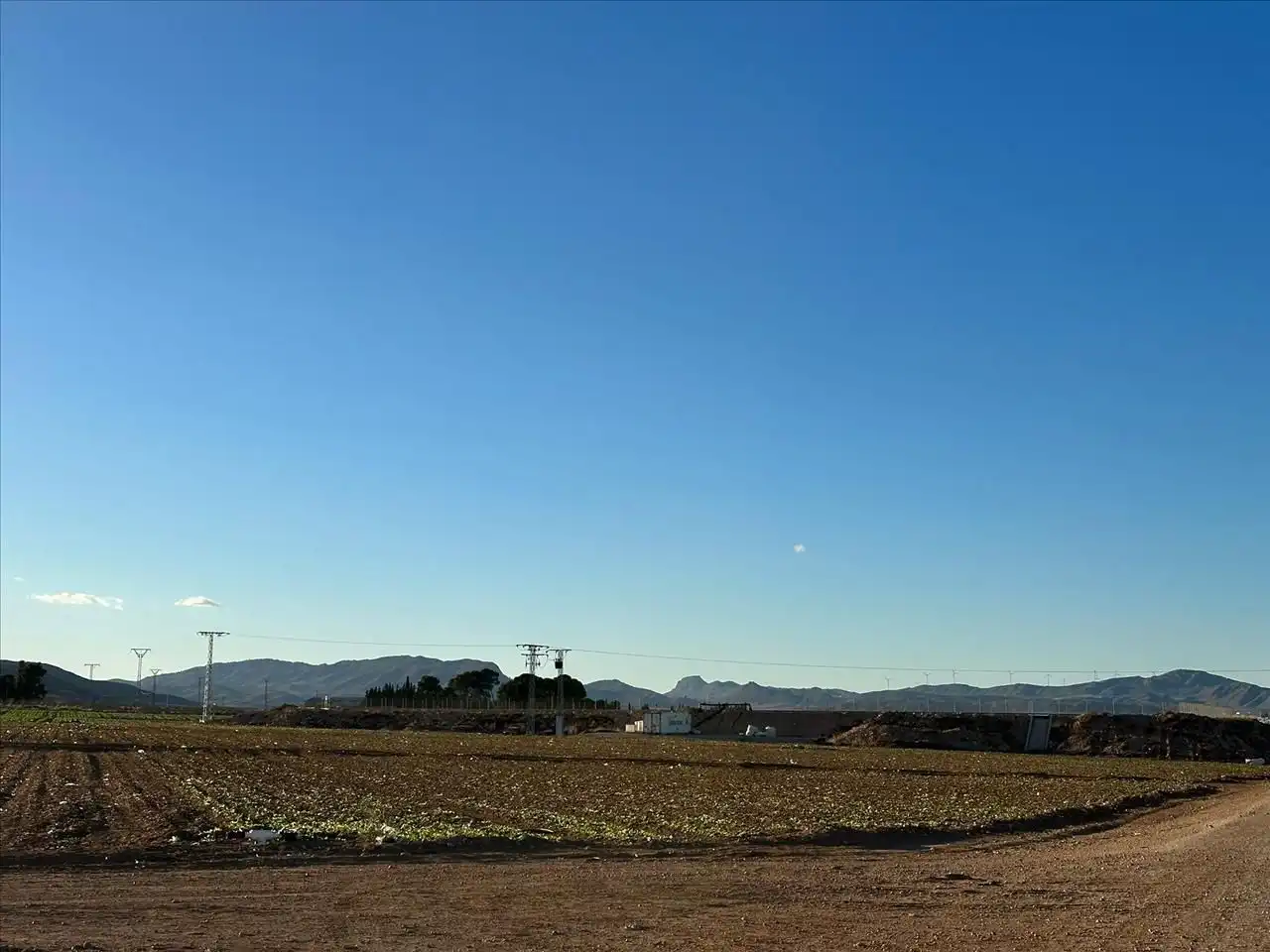 Country house for sale in Jumilla, imagen 3