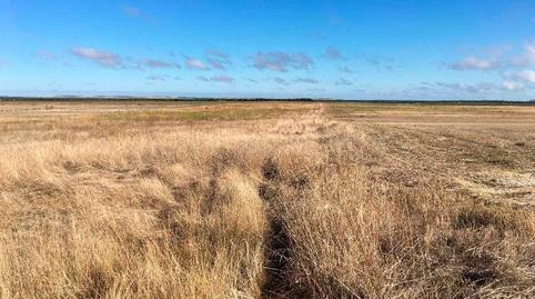 Photo 4 of Land for sale in Ramiro, Valladolid