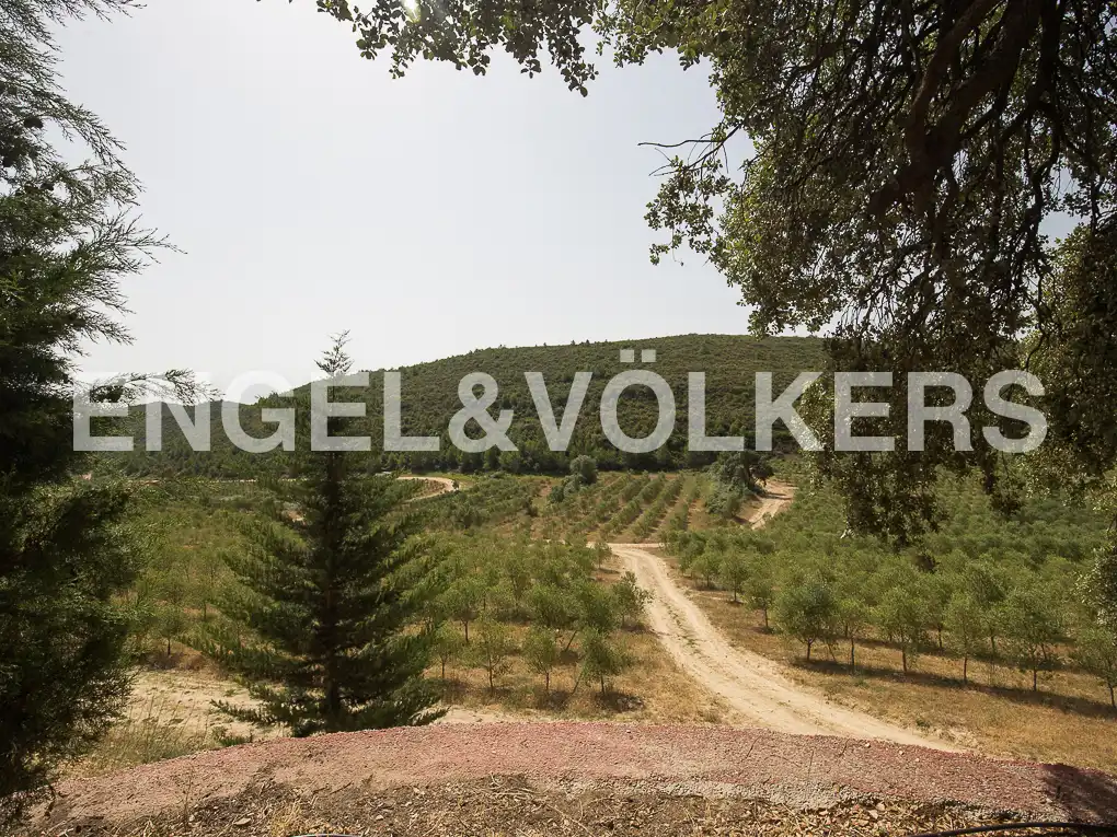 Casa o chalet en venta en Enguera con Aire acondicionado, Calefacción y Jardín privado