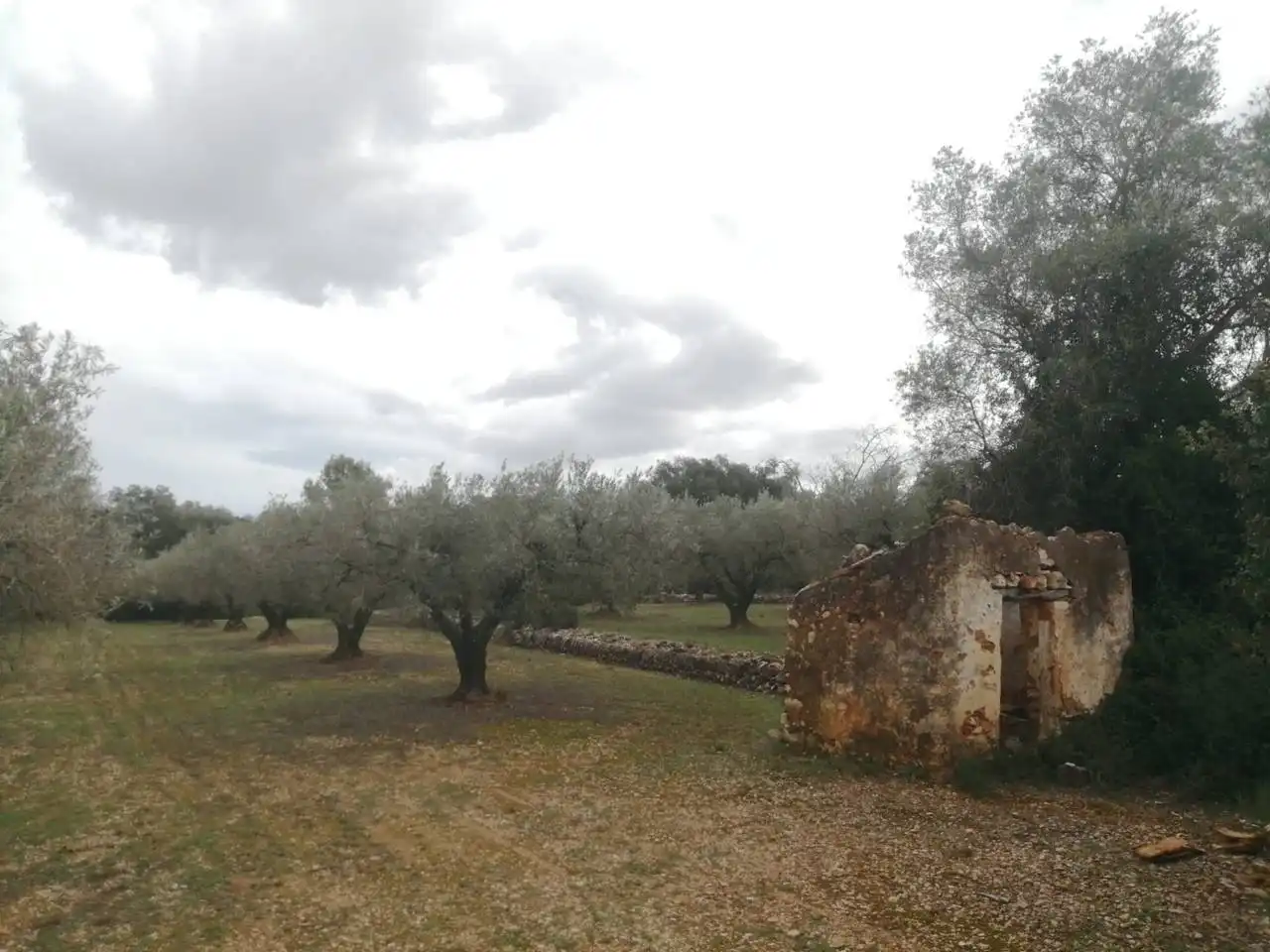 Rural land for sale in Calle Camino de Godall, imagen 13