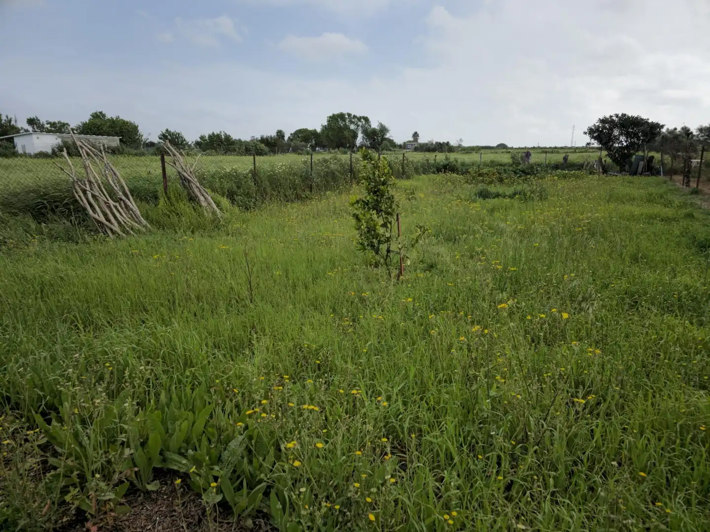 Finca rústica en venta en Puerto Real con Trastero