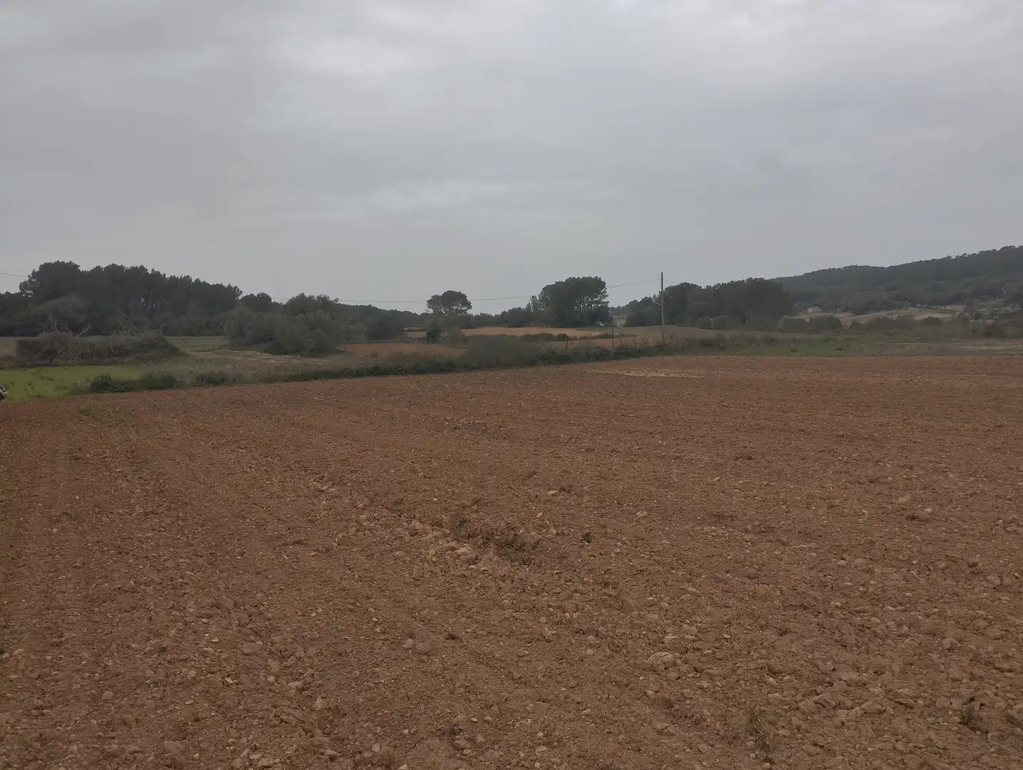 Rural land for sale in Algaida, imagen 2