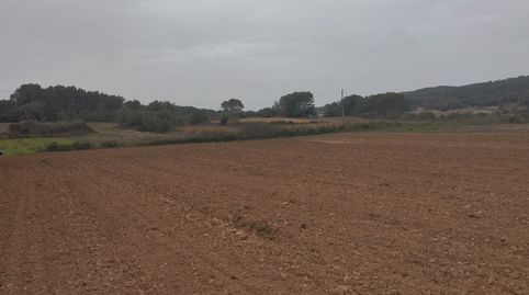 Finca DE CULTIVO ZONA PUNXUAT., immagine 2