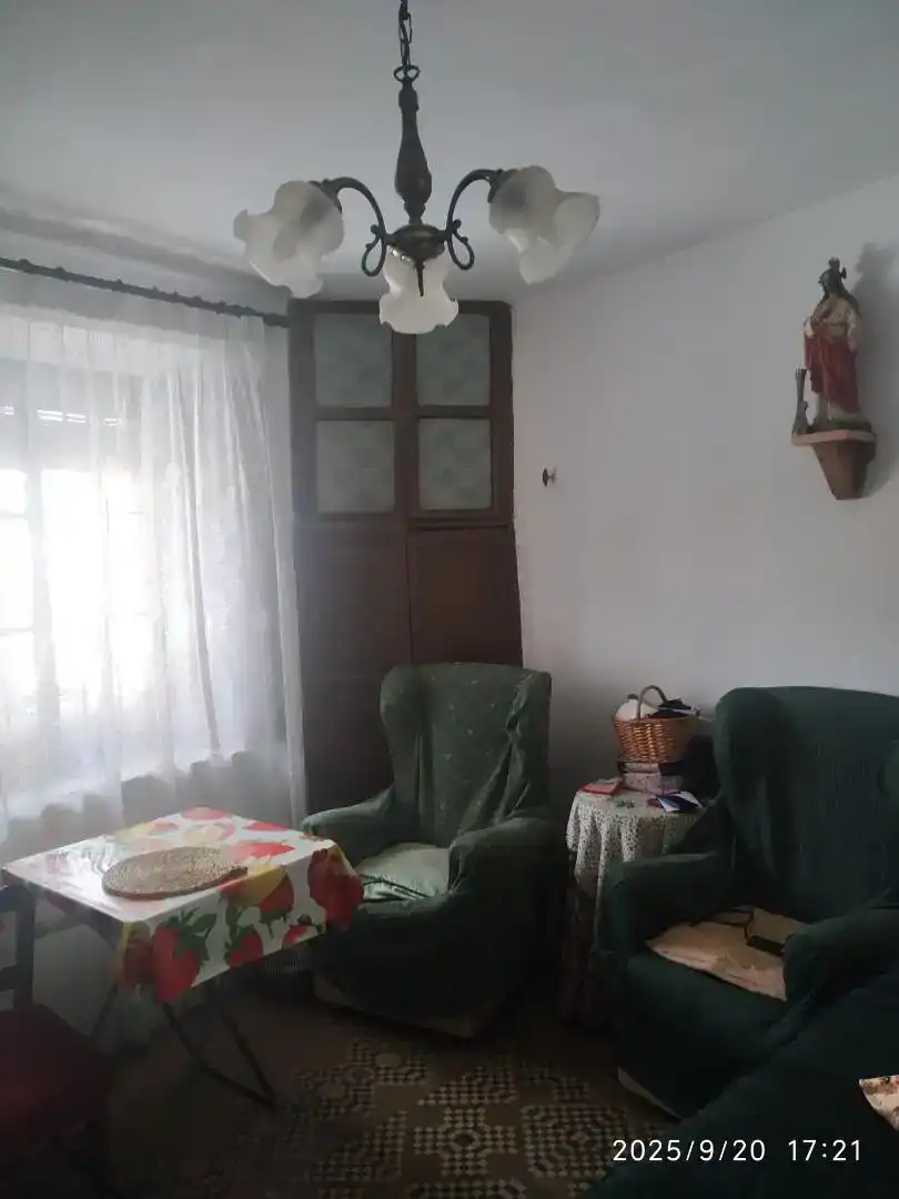 Sala de estar de Casa o chalet en venta en Palacios de Riopisuerga con Jardín privado, Parquet y Trastero
