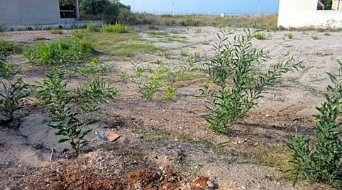 Photo 5 of Residential for sale in Polígono a, 24, Veneziola, Murcia