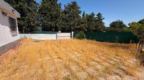 Foto 4 de Finca rústica en venda a Los Franceses – La Vega, Chiclana de la Frontera