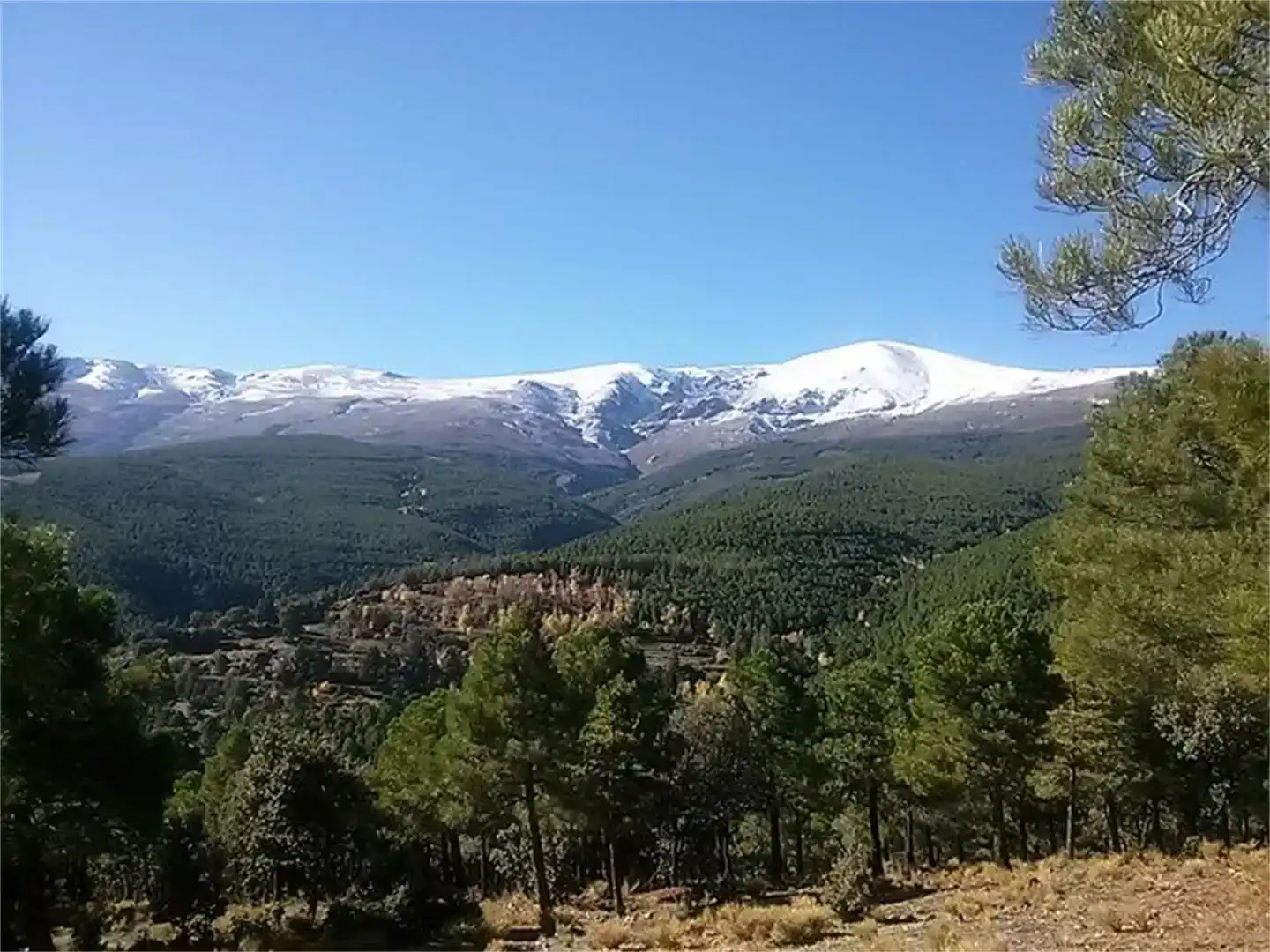 Vista exterior de Terreno en venta en Albuñán