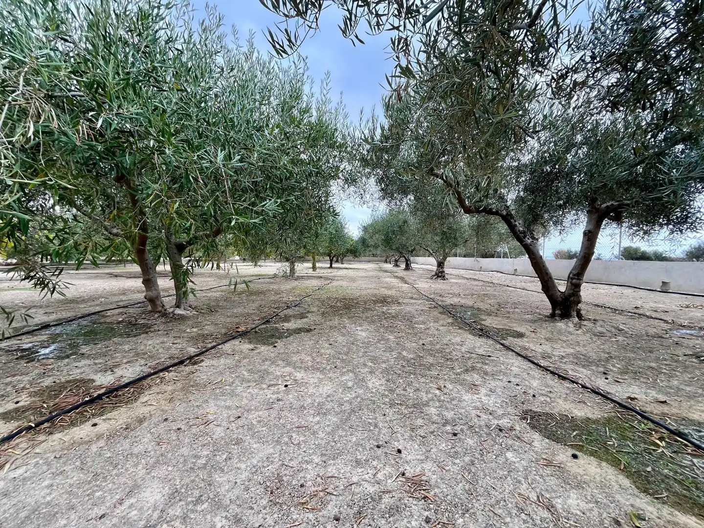 Detached homes for sale in Mojácar  with Air Conditioner, Heating and Private garden