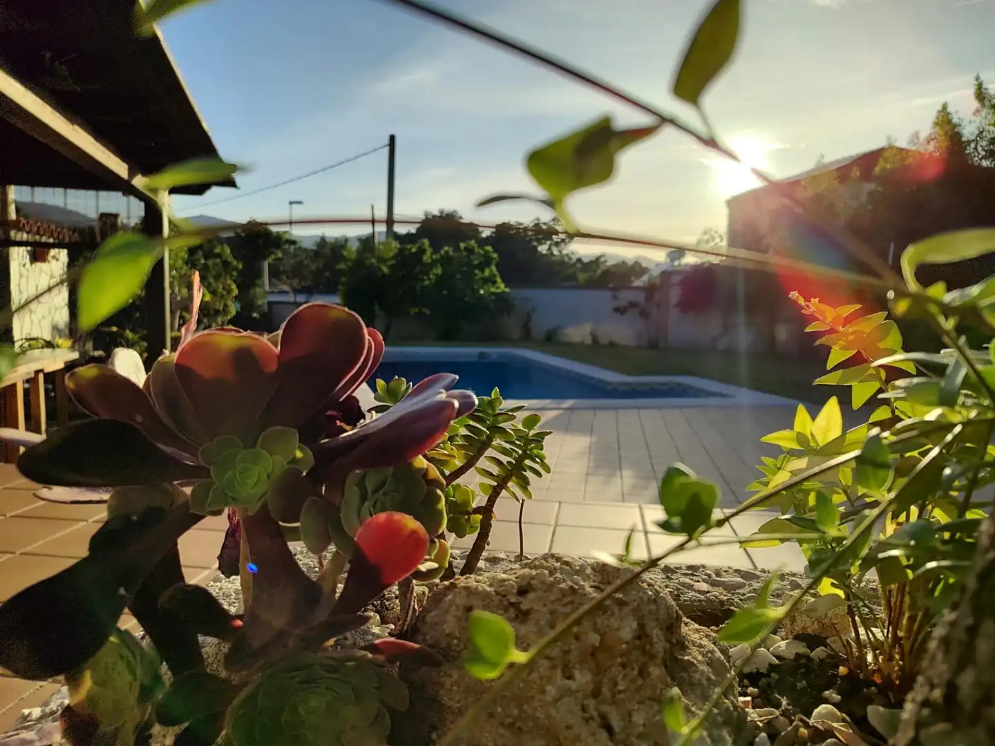 Piscina de Casa o xalet en venda en Algeciras