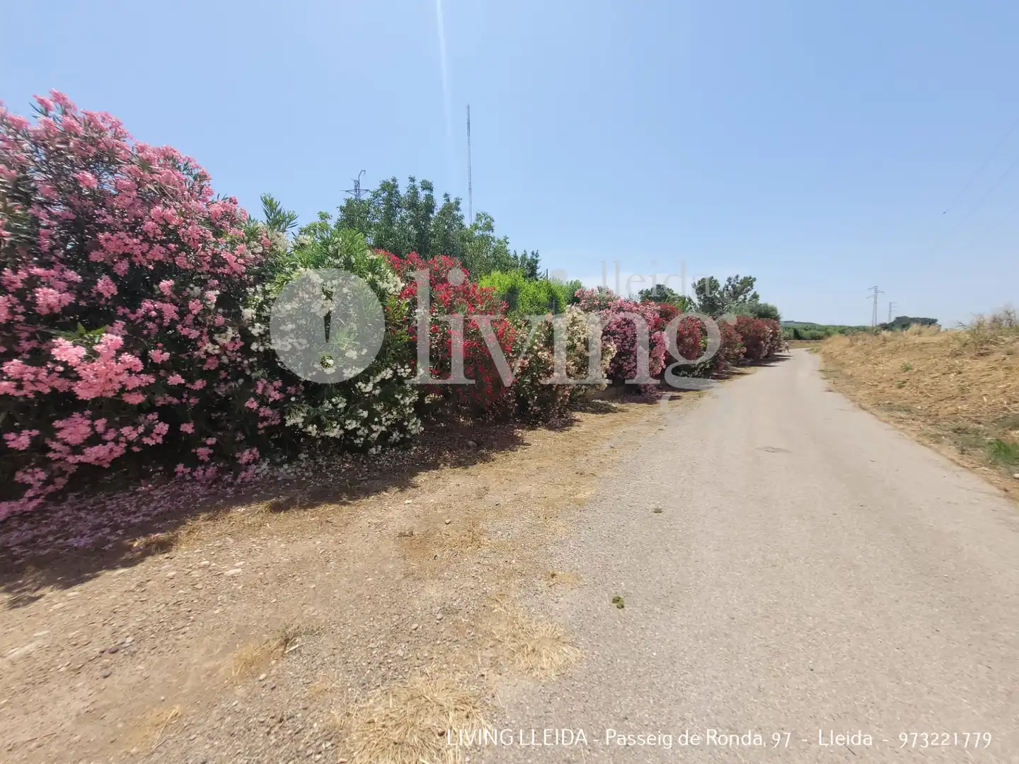 Casa o xalet en venda en Lleida amb Aire condicionat, Calefacció i Jardí privat