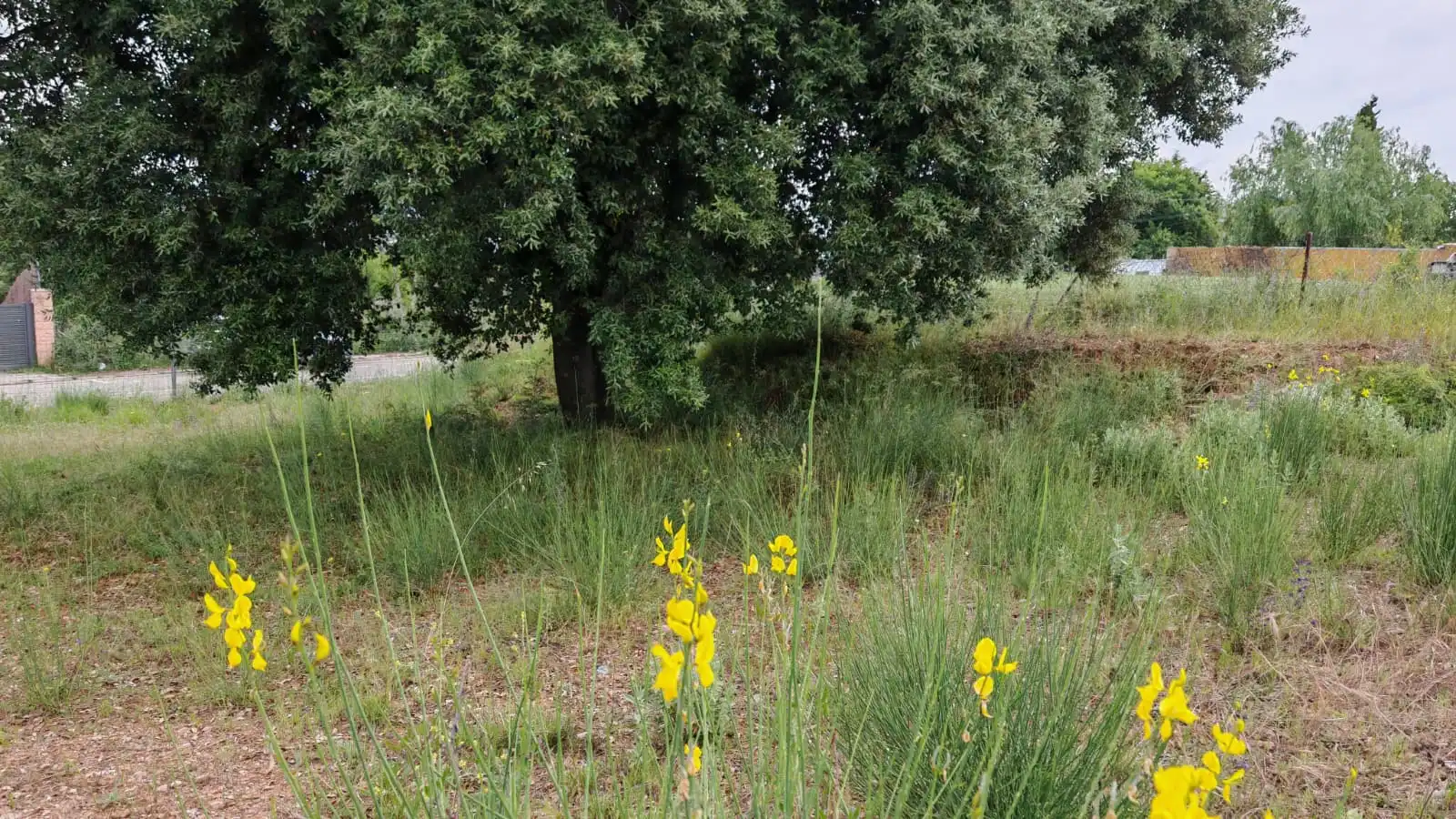 Residential land for sale in Can Font - Ca n'Avellaneda, imagen 16