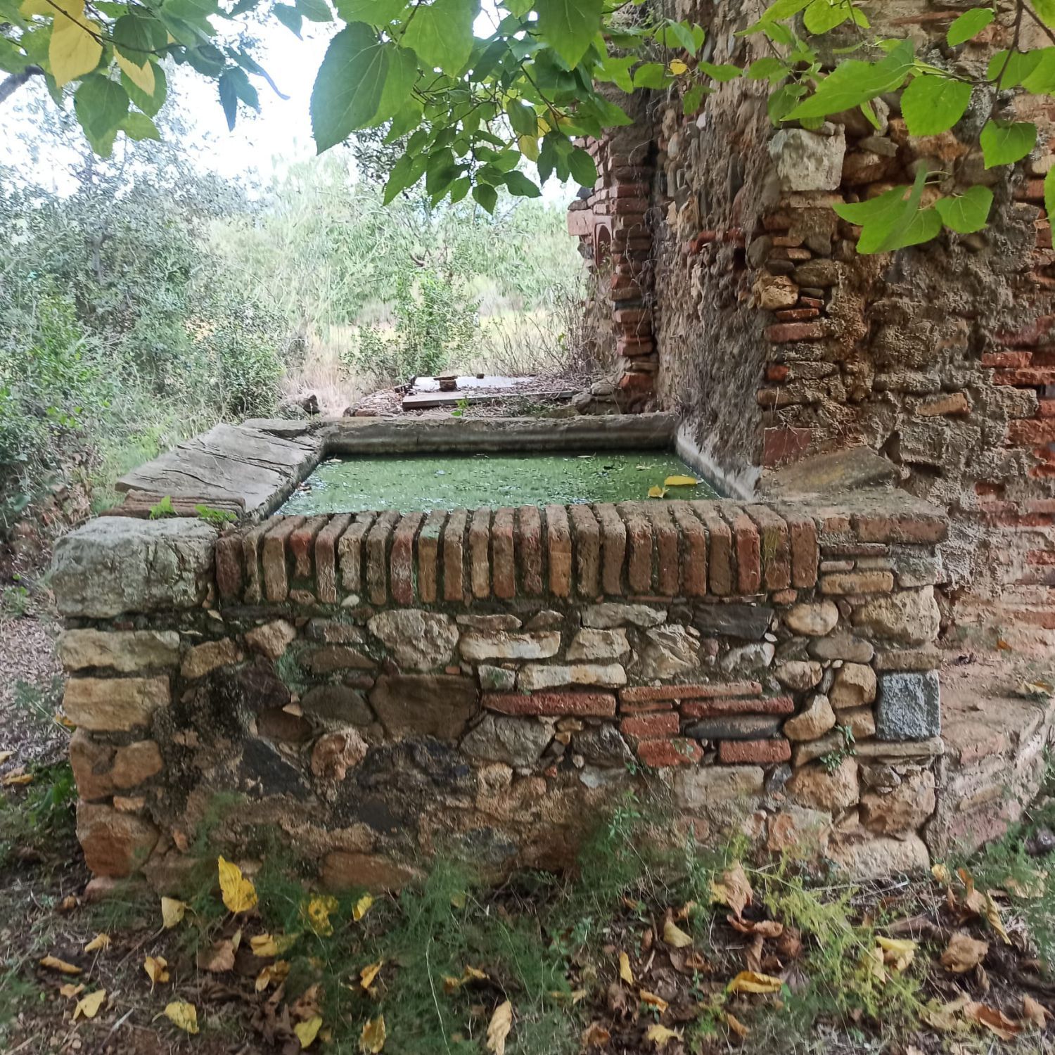 Jardín de Finca rústica en venta en La Selva del Camp