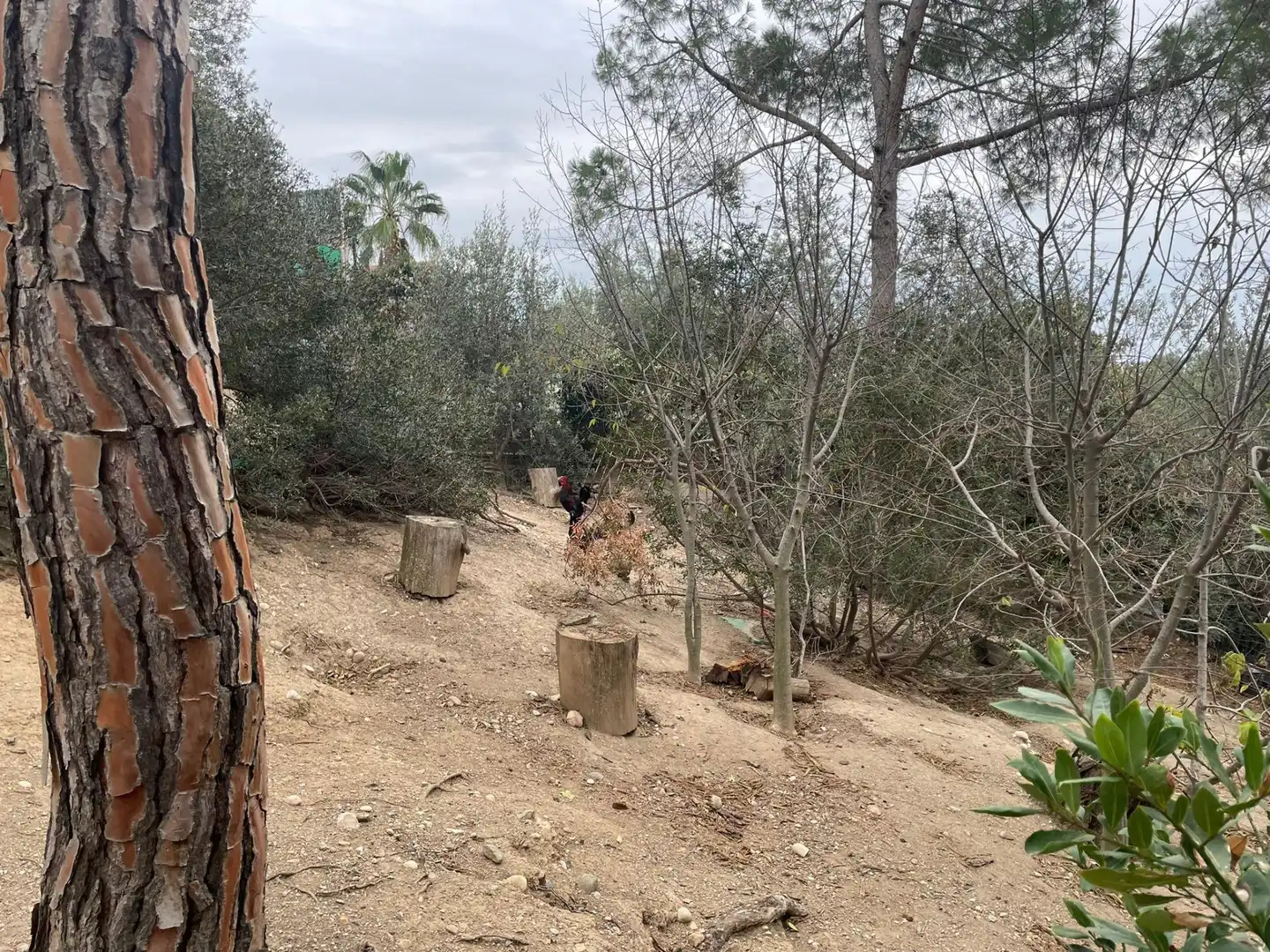 Terreno residenziale in vendita a Els Hostalets de Pierola