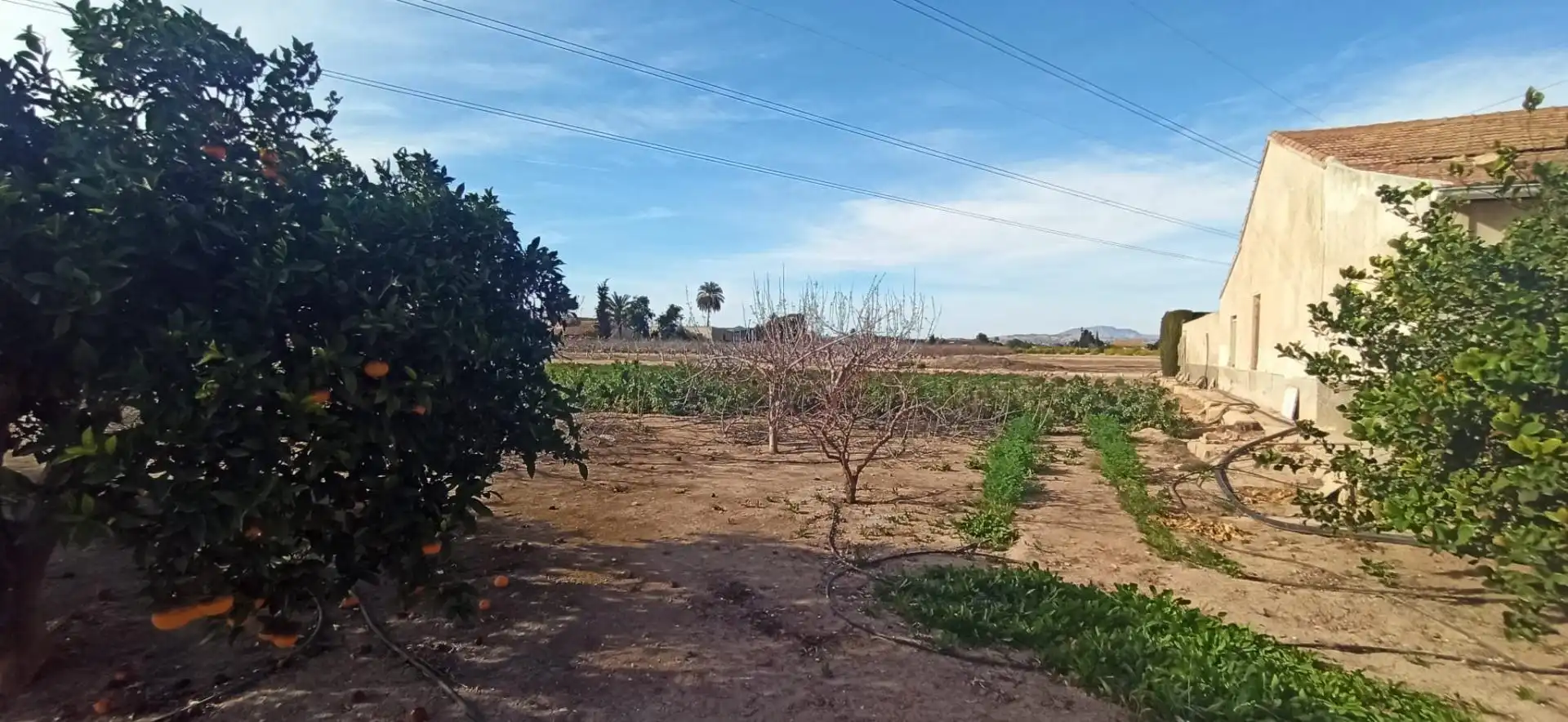 House with garden for sale in La Foia - Daimés - Asprella, imagen 44