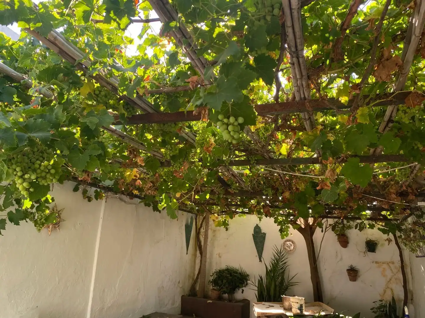 Casa rústica en venda a Tarifa ciudad, imagen 24