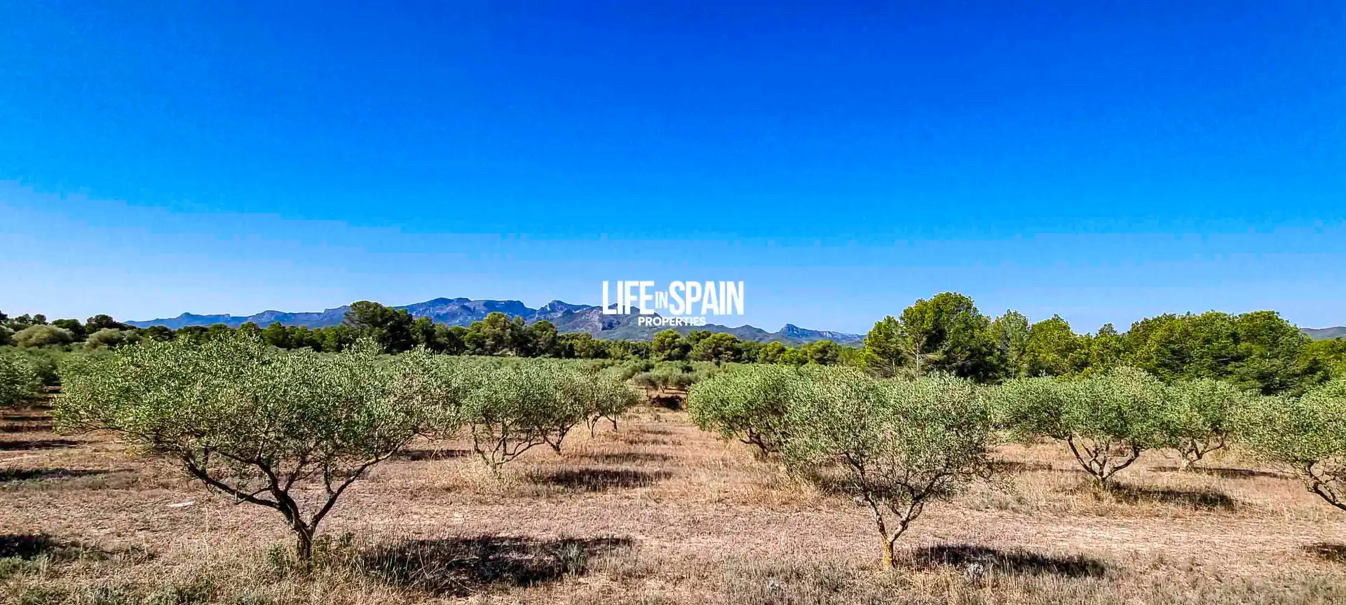 Country homes for sale in Ginestar