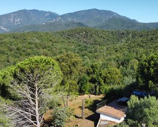 Jardí de Finca rústica en venda en Riells i Viabrea