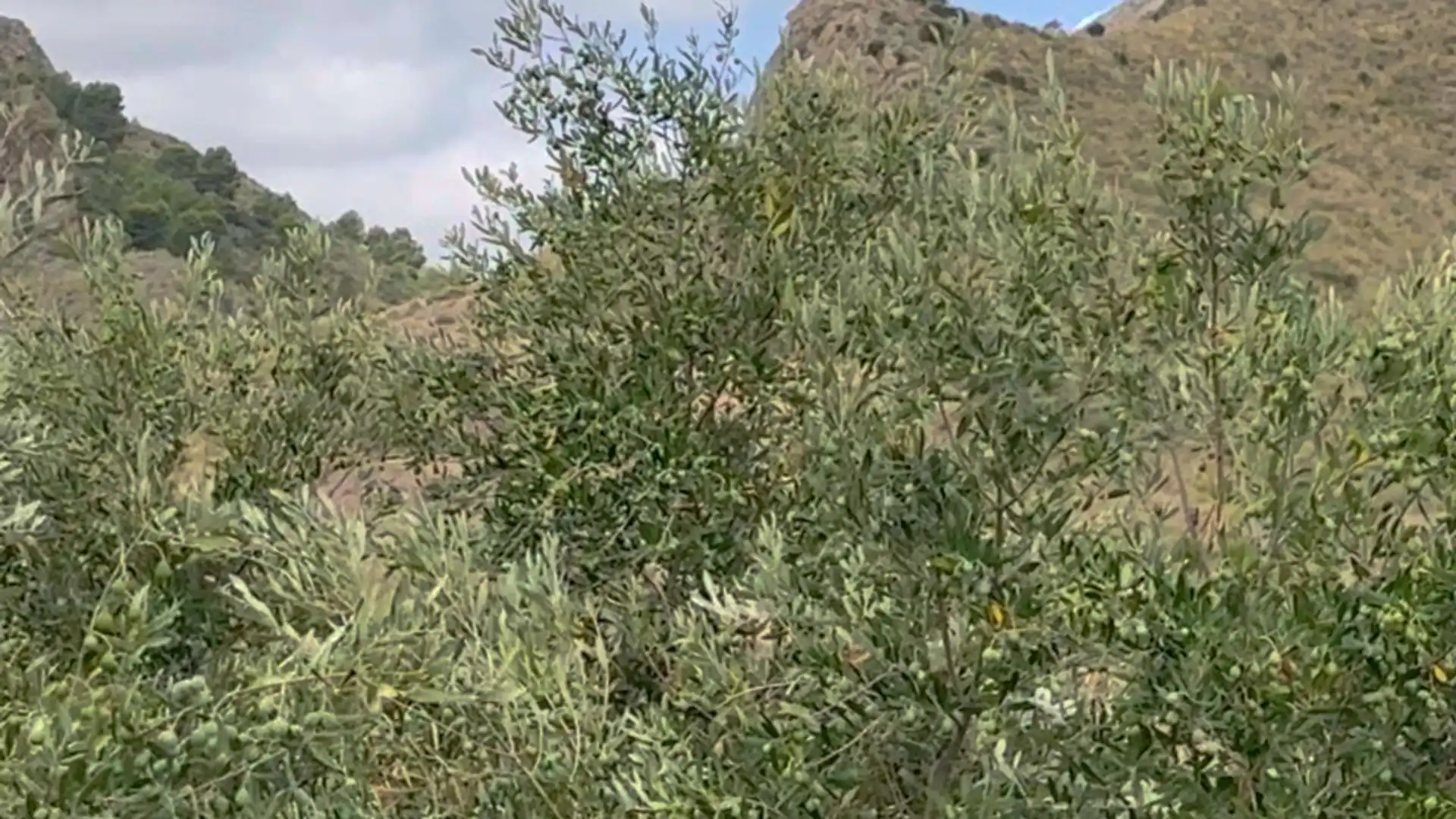 Country homes for sale in Lorca  with Private garden