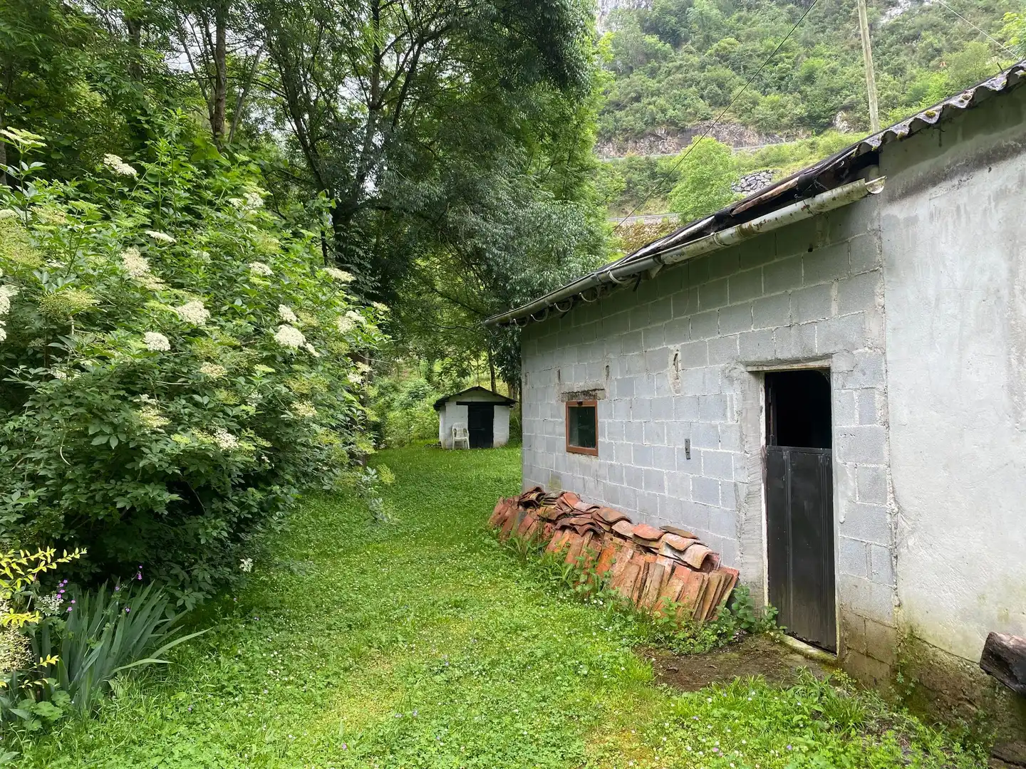 Houses for sale in Ceneya, Amieva