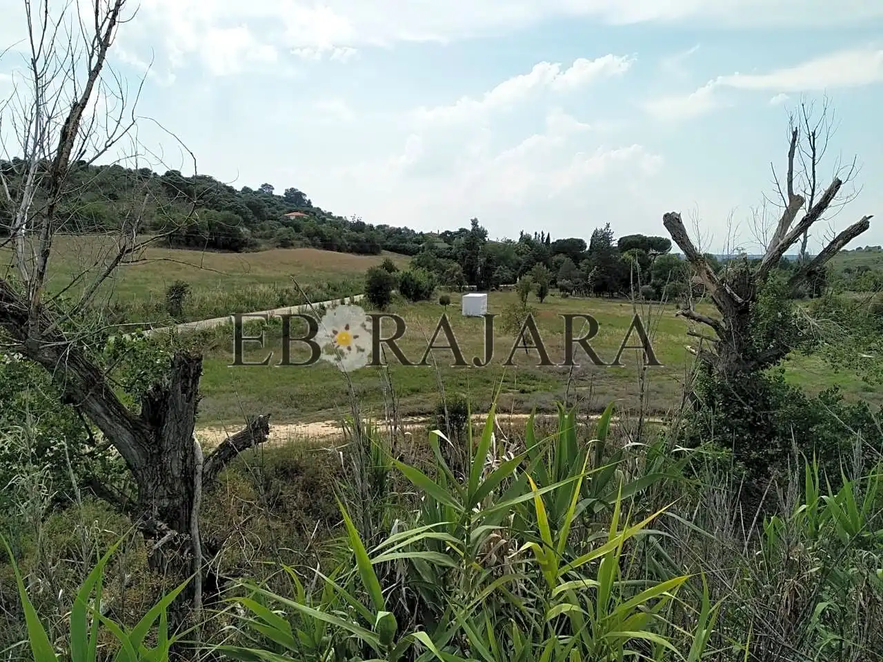 Rural land for sale in Santa Paula, imagen 5