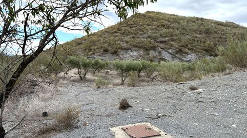 Se vende finca con cortijo, immagine 4