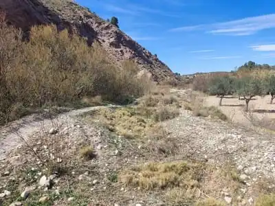 Terreny residencial en venda a Partida Castillo, imagen 3