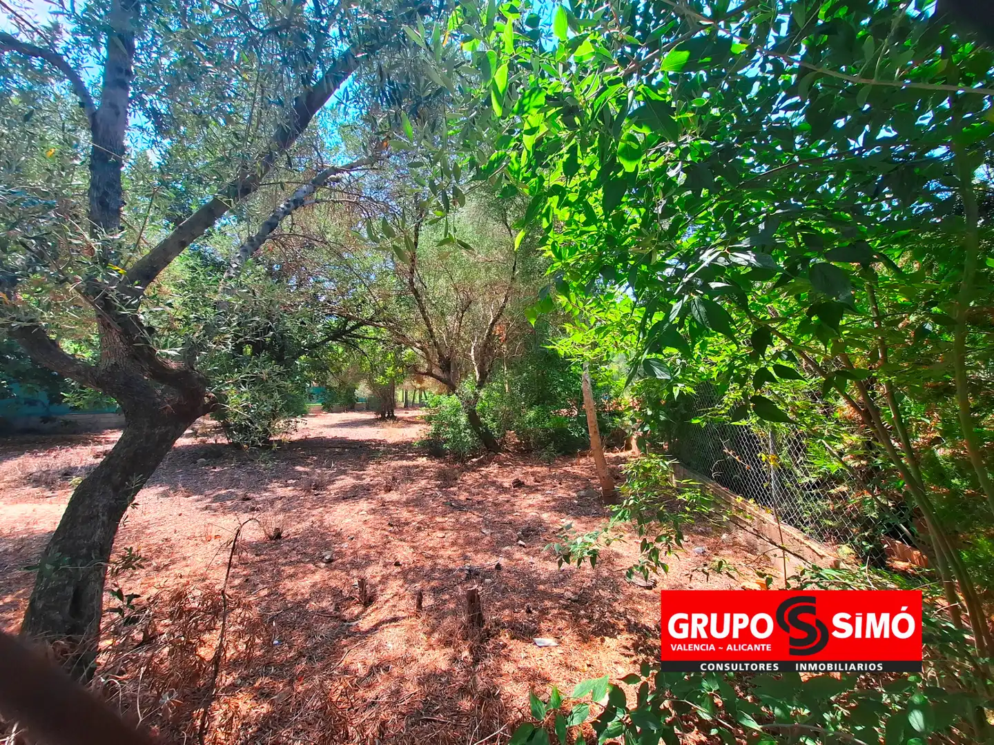 Terreny residencial en venda a Picassent, imagen 3