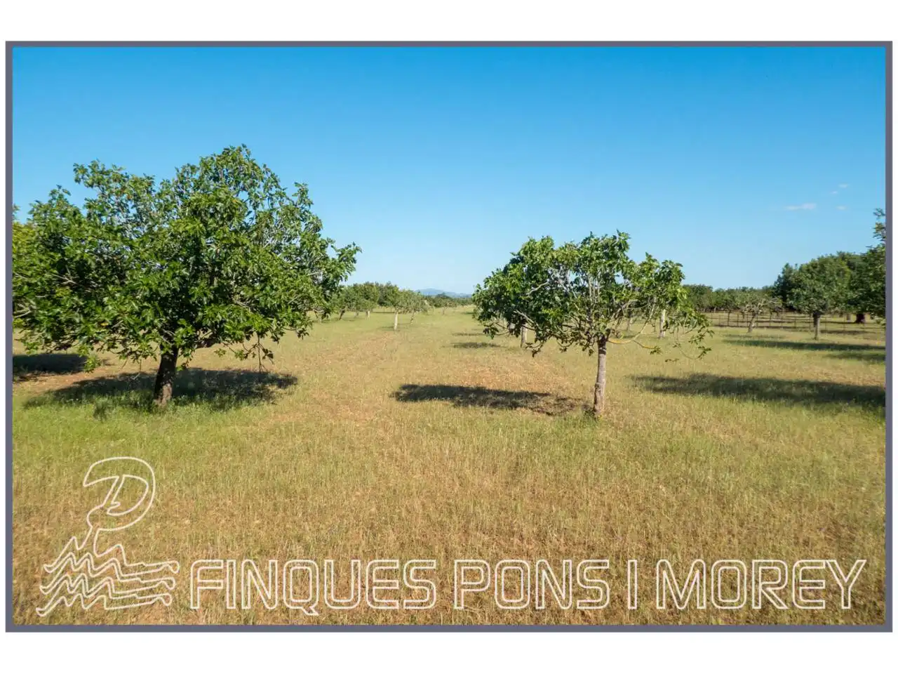 Finca rústica en venda en Campanet