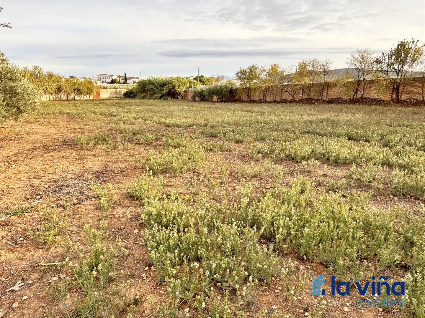 Chalet en venta en Mollina, imagen 9