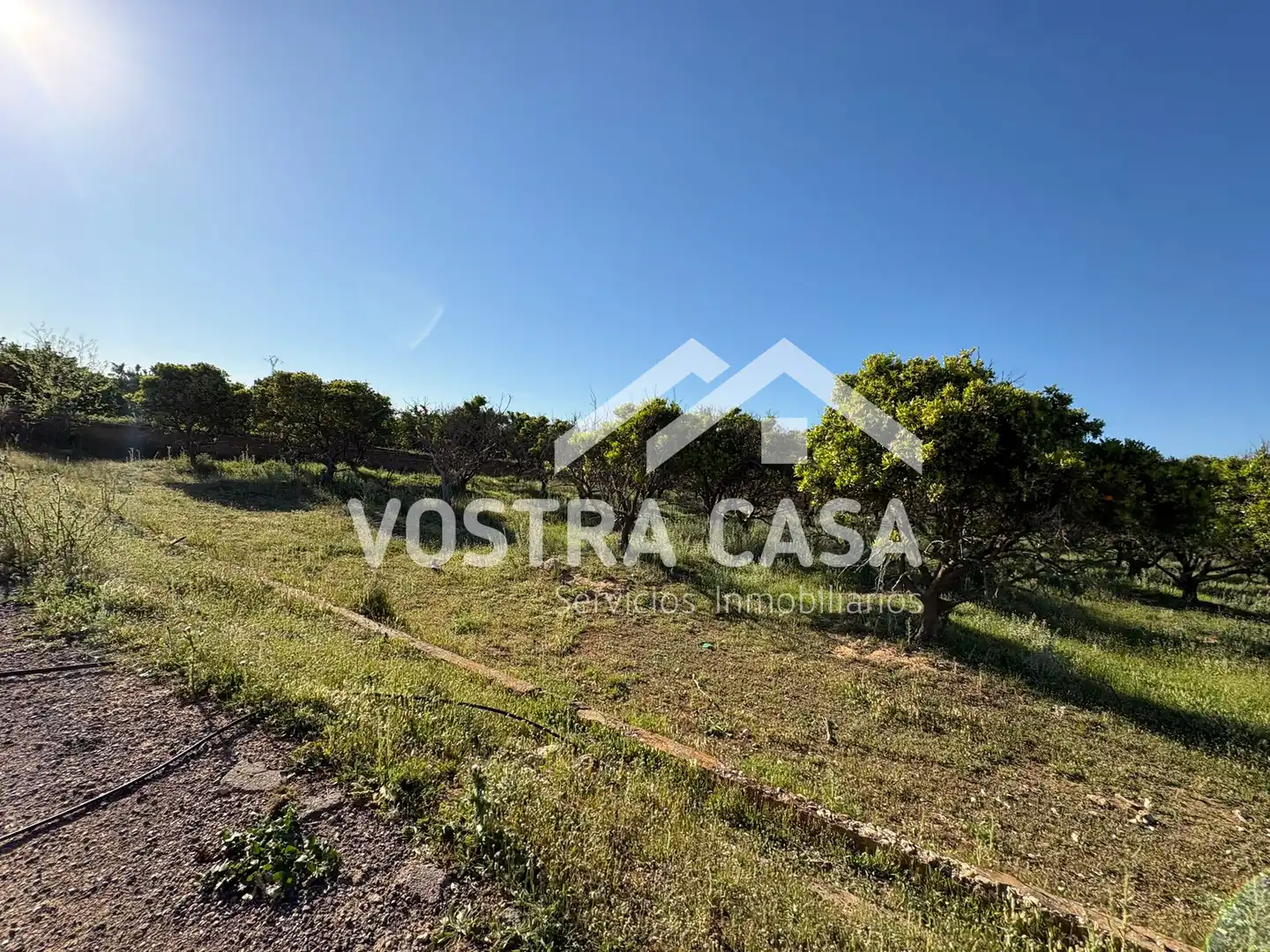 Land for sale in Chiva