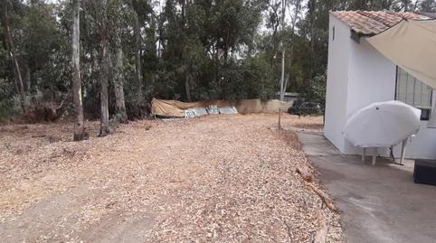 Photo 3 of House or chalet for sale in Calle Calle de las Olas, La Jara, Sanlúcar de Barrameda