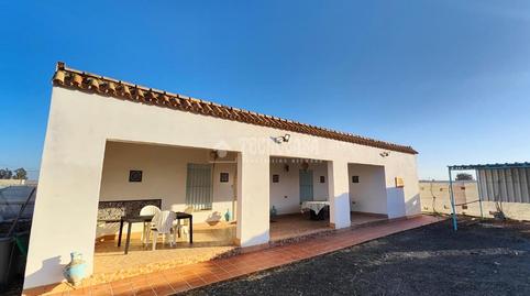 Foto 2 de Finca rústica en venta en Los Palacios y Villafranca, Sevilla
