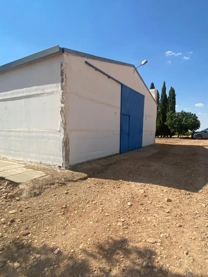 Exterior view of Land for sale in Socuéllamos
