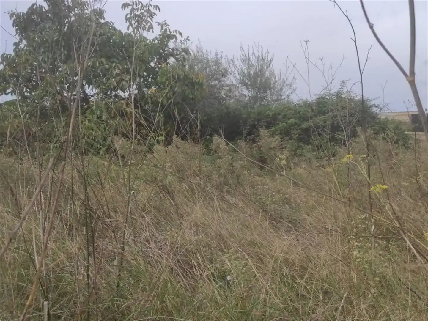 Residencial en venta en Benlloc