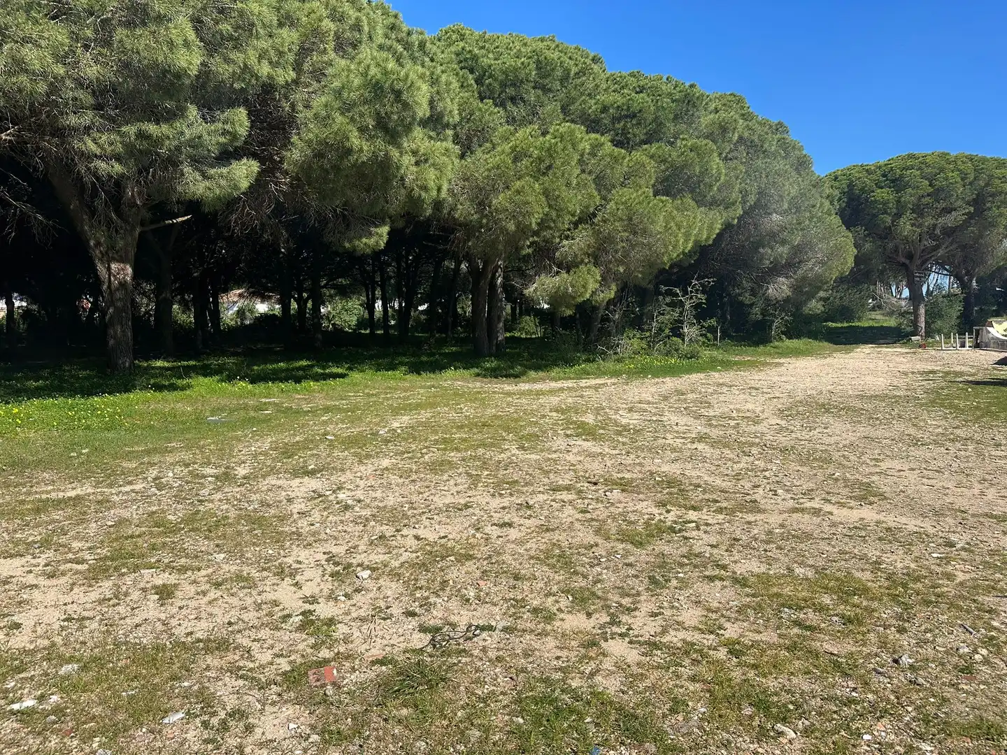 Rustikales Grundstück zum Verkauf in Las Lagunas - Campano, imagen 8